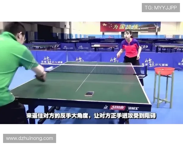 杭州乒乓球队进攻策略全解析揭秘乒乓球技术深度与战术运用